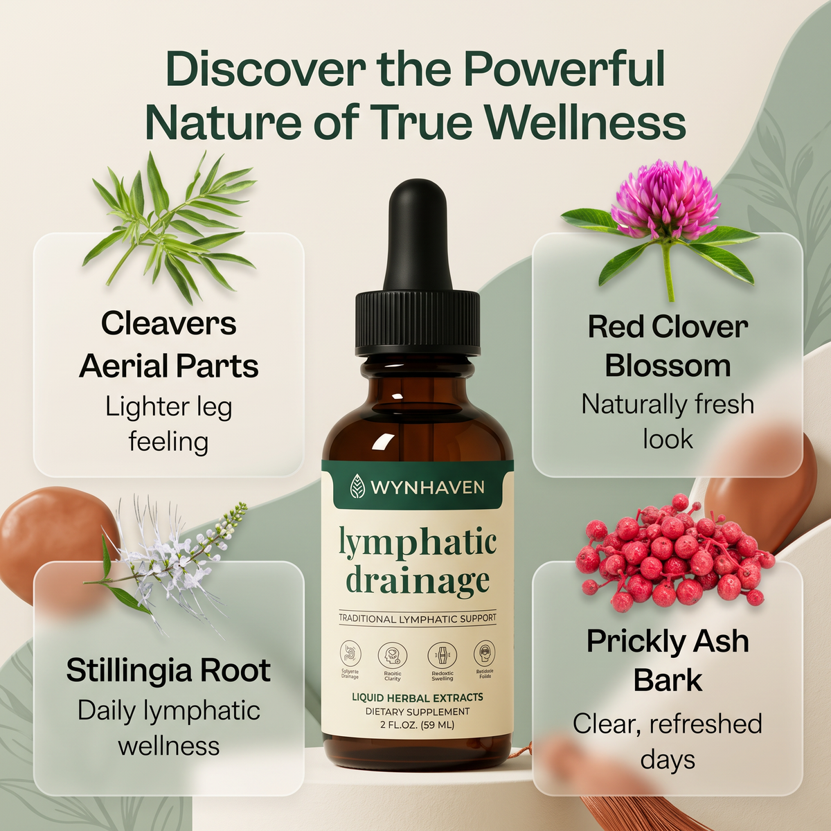 Wynhaven LymphFlow Drops – Lymphatic Drainage Support